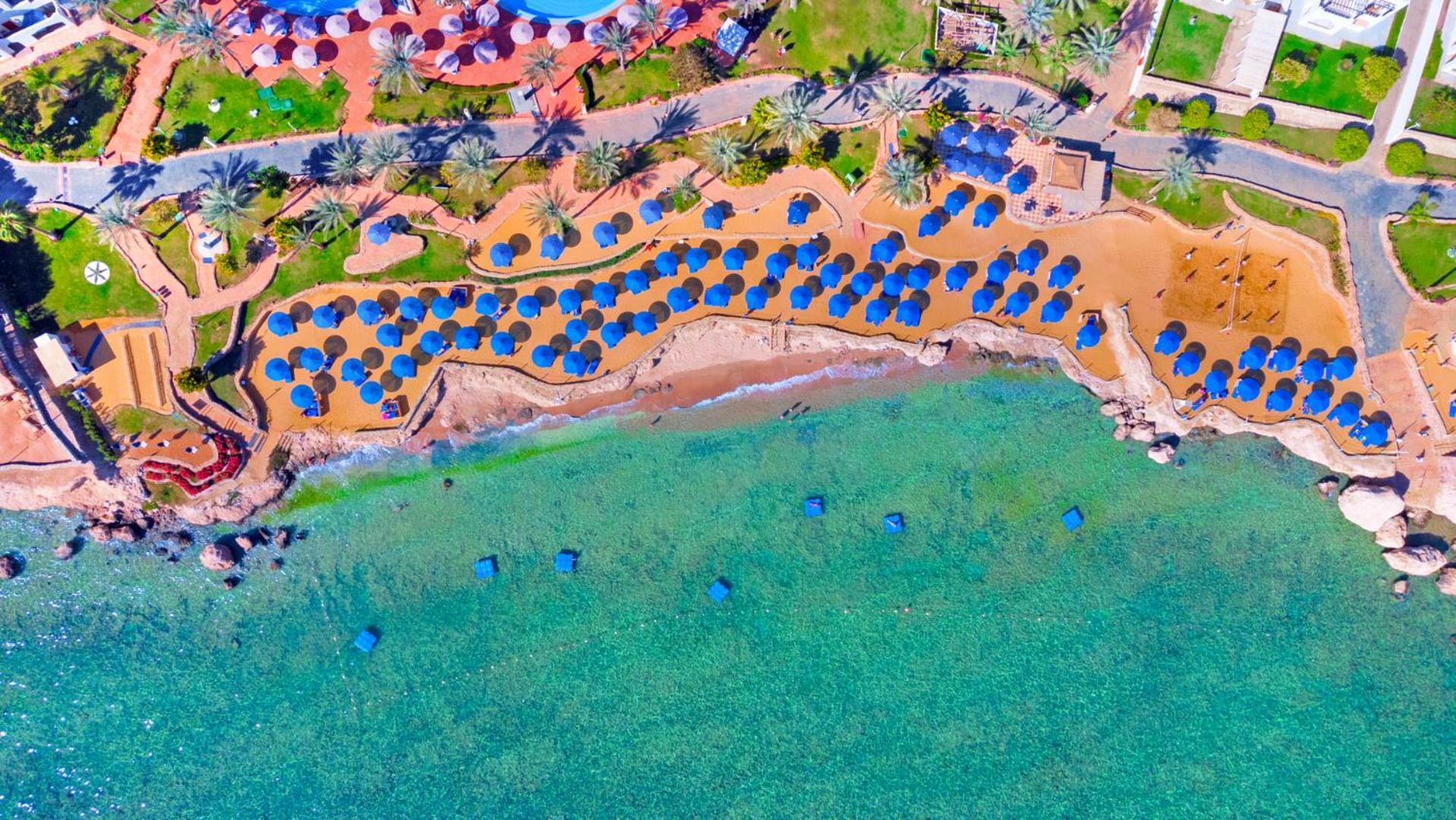 Pickalbatros Royal Grand Sharm - Adults Friendly 16 Years Plus ภายนอก รูปภาพ The photo shows an aerial view of a beach resort area. You can see a stretch of golden sandy beach lined with numerous blue umbrellas. The beach is bordered by clear turquoise waters. There are palm trees scattered throughout the area, adding to the 