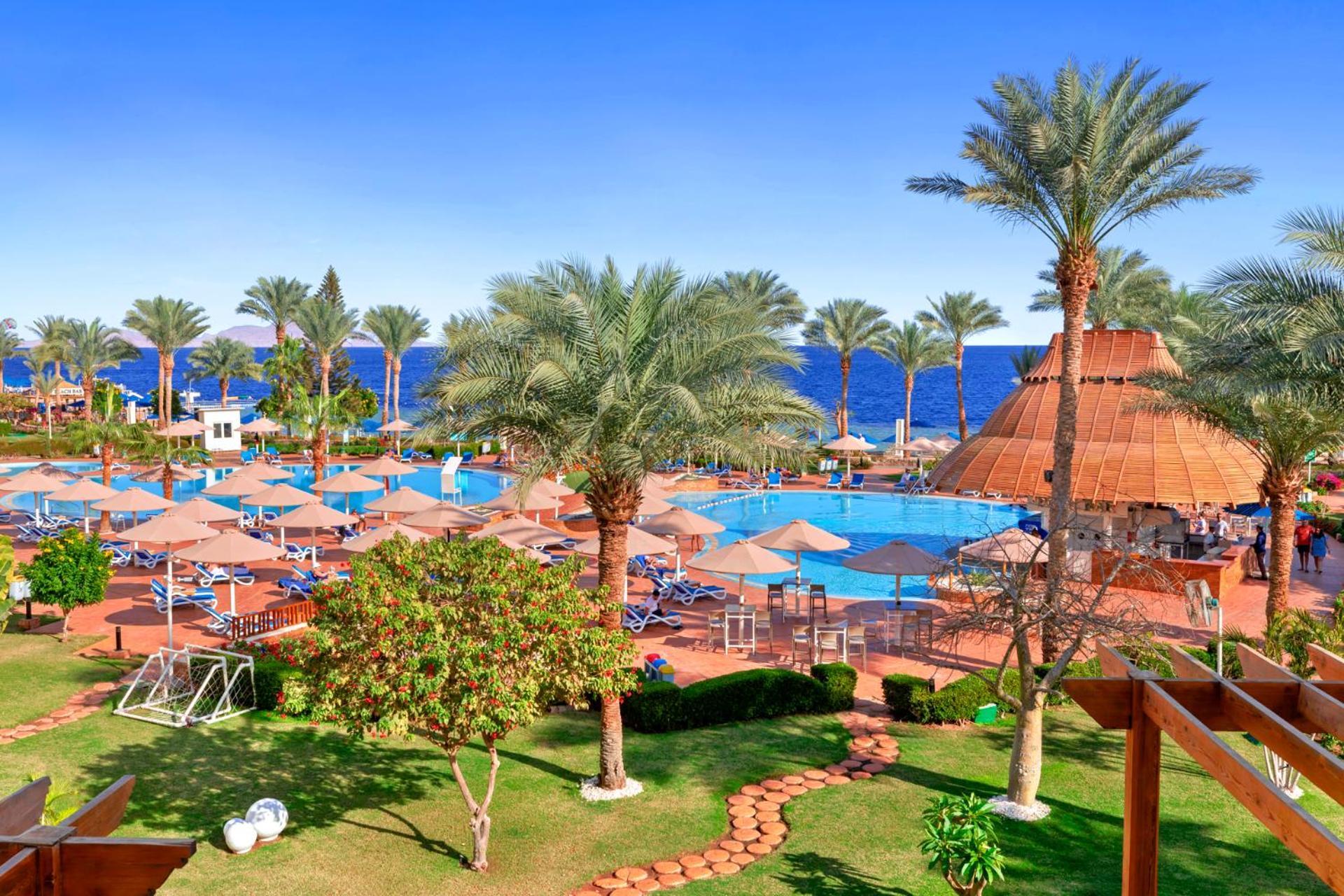 Pickalbatros Royal Grand Sharm - Adults Friendly 16 Years Plus ภายนอก รูปภาพ The image shows a vibrant tropical resort scene. In the foreground, there are lush green palm trees and neatly organized grassy areas. A winding pathway made of bricks leads through the gardens. 

In the background, a large swimming pool is visible, 